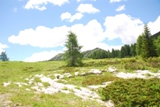 Clicca qui per vedere l'immagine in dettaglio